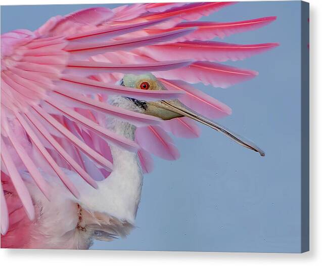 Sanctuary - Canvas Print