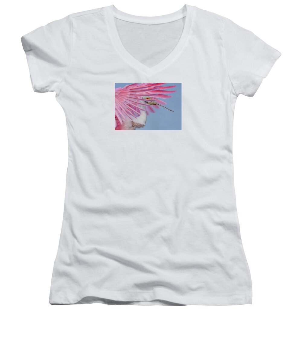 Sanctuary - Women's V-Neck