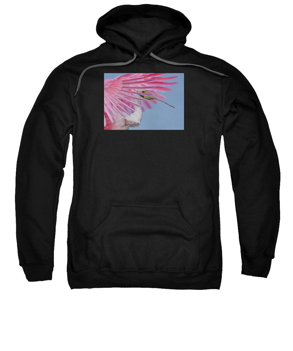 Sanctuary - Sweatshirt