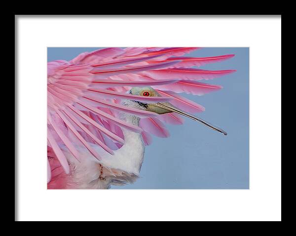 Sanctuary - Framed Print