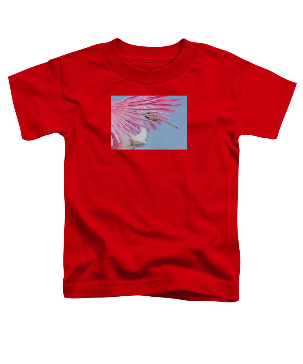 Sanctuary - Toddler T-Shirt
