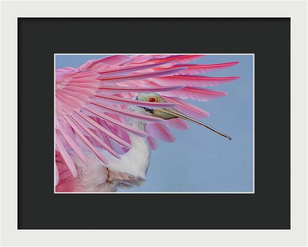 Sanctuary - Framed Print