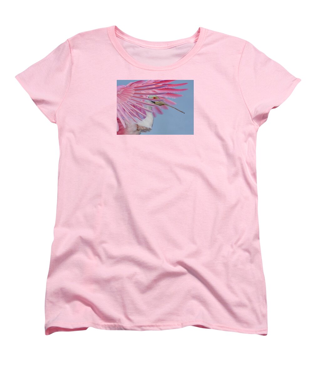 Sanctuary - Women's T-Shirt (Standard Fit)