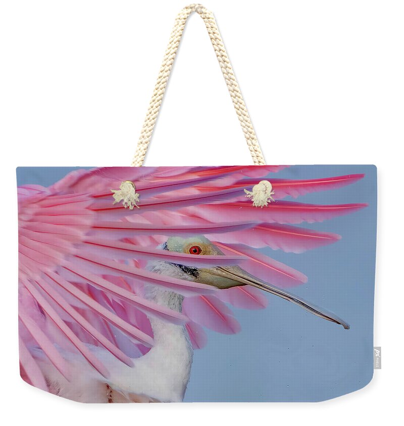 Sanctuary - Weekender Tote Bag