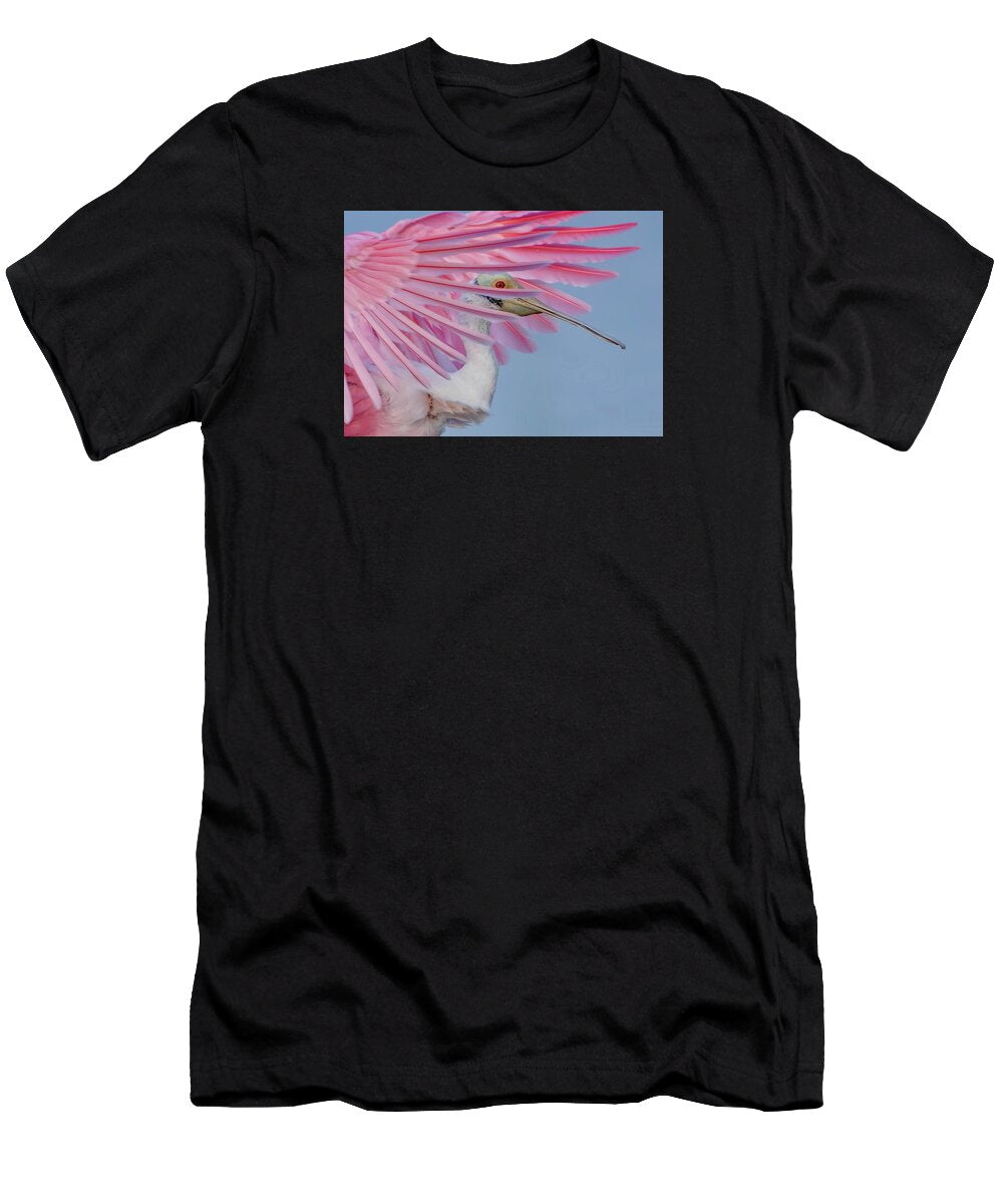 Sanctuary - T-Shirt