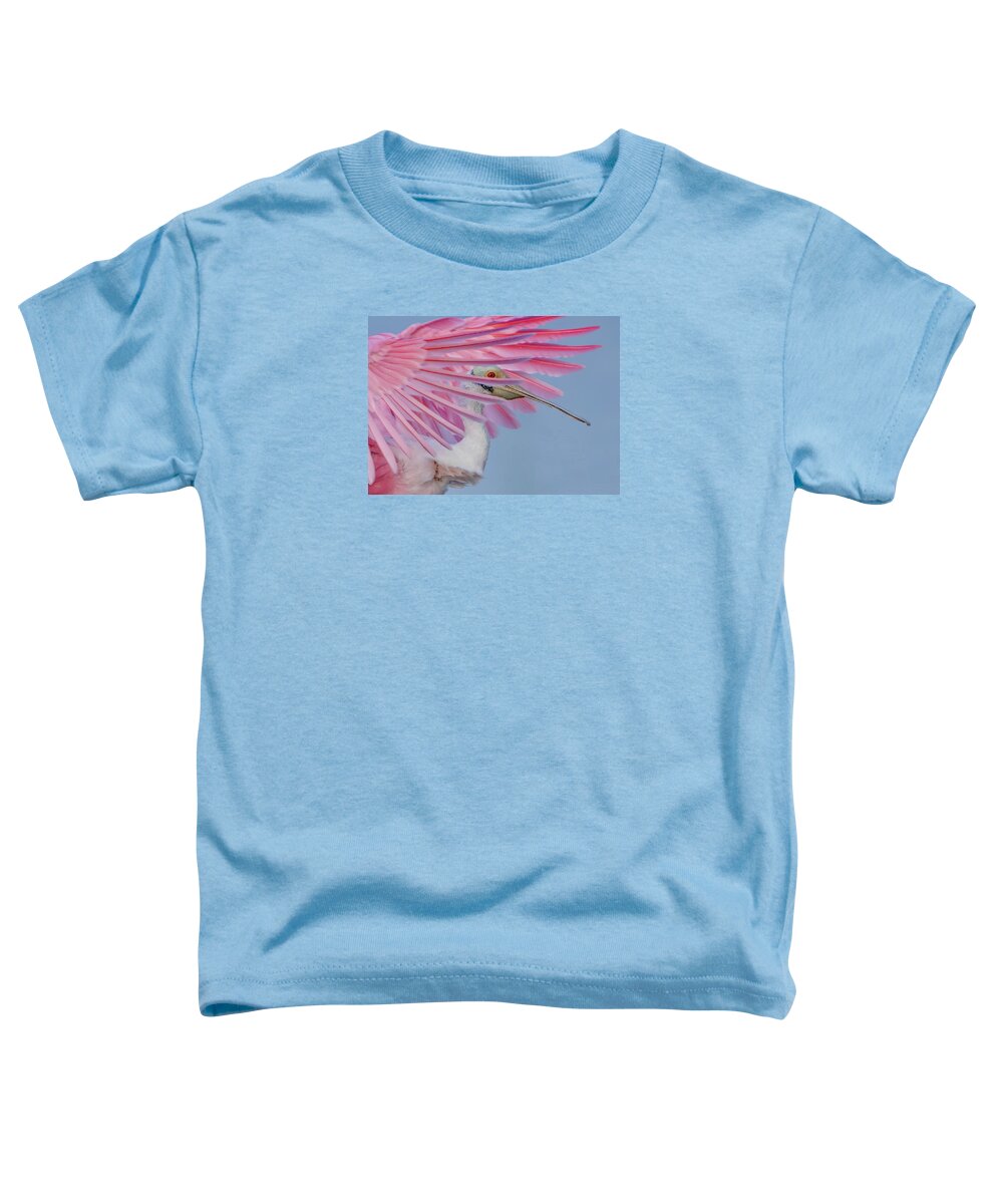 Sanctuary - Toddler T-Shirt