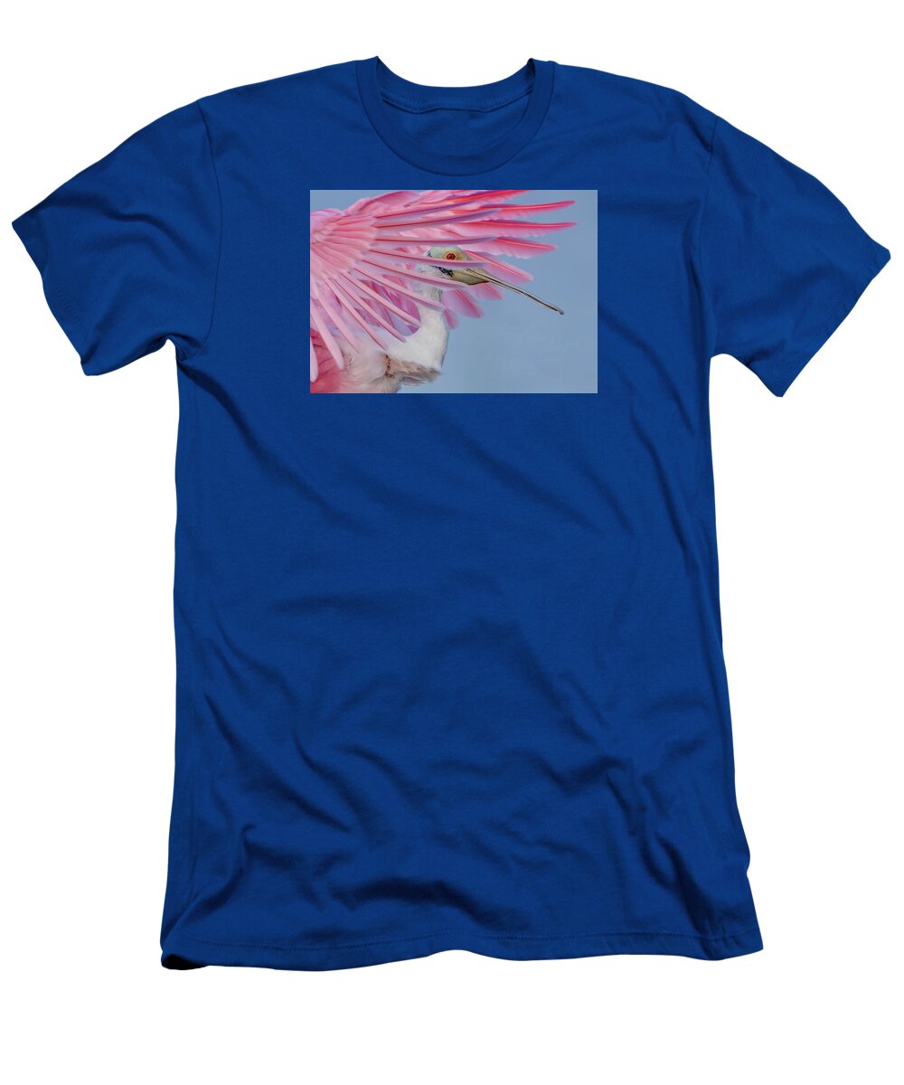 Sanctuary - T-Shirt