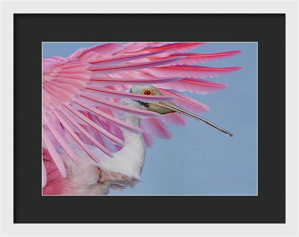 Sanctuary - Framed Print