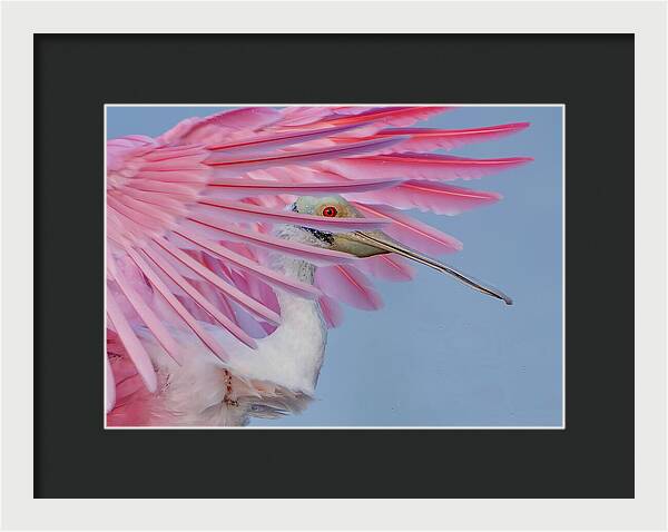 Sanctuary - Framed Print