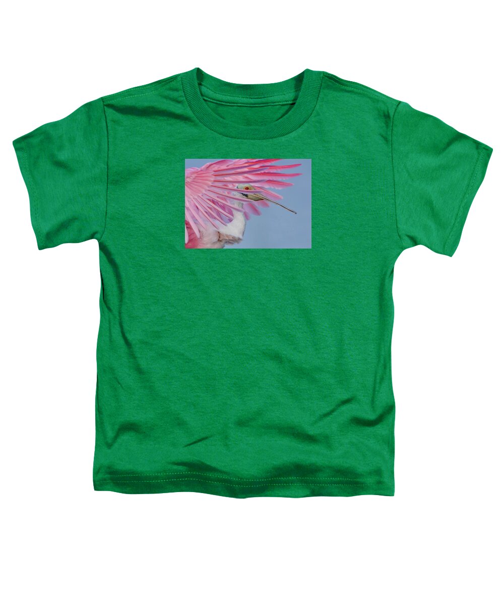 Sanctuary - Toddler T-Shirt