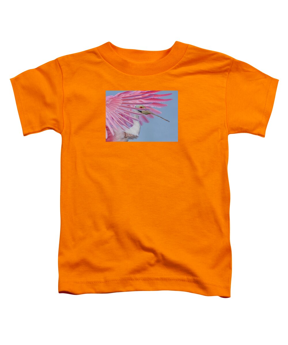 Sanctuary - Toddler T-Shirt