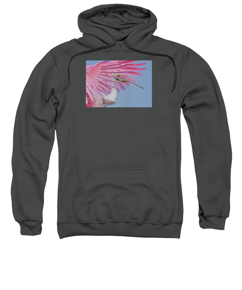 Sanctuary - Sweatshirt