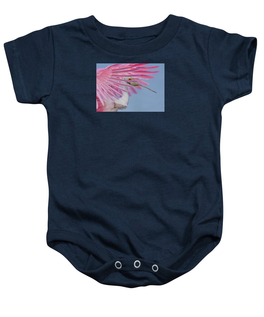 Sanctuary - Baby One-Piece