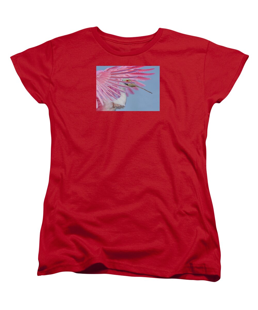 Sanctuary - Women's T-Shirt (Standard Fit)