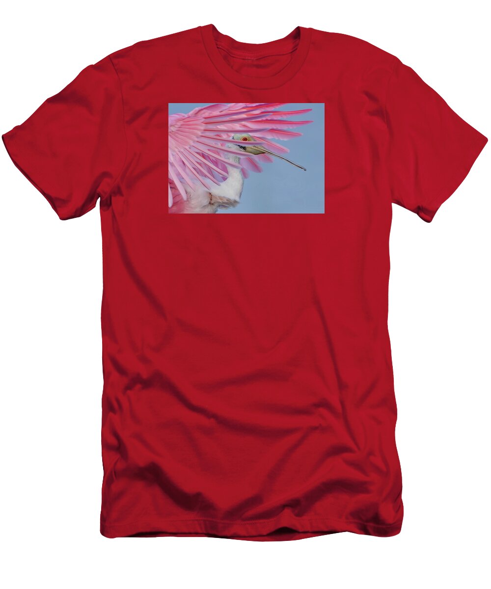Sanctuary - T-Shirt