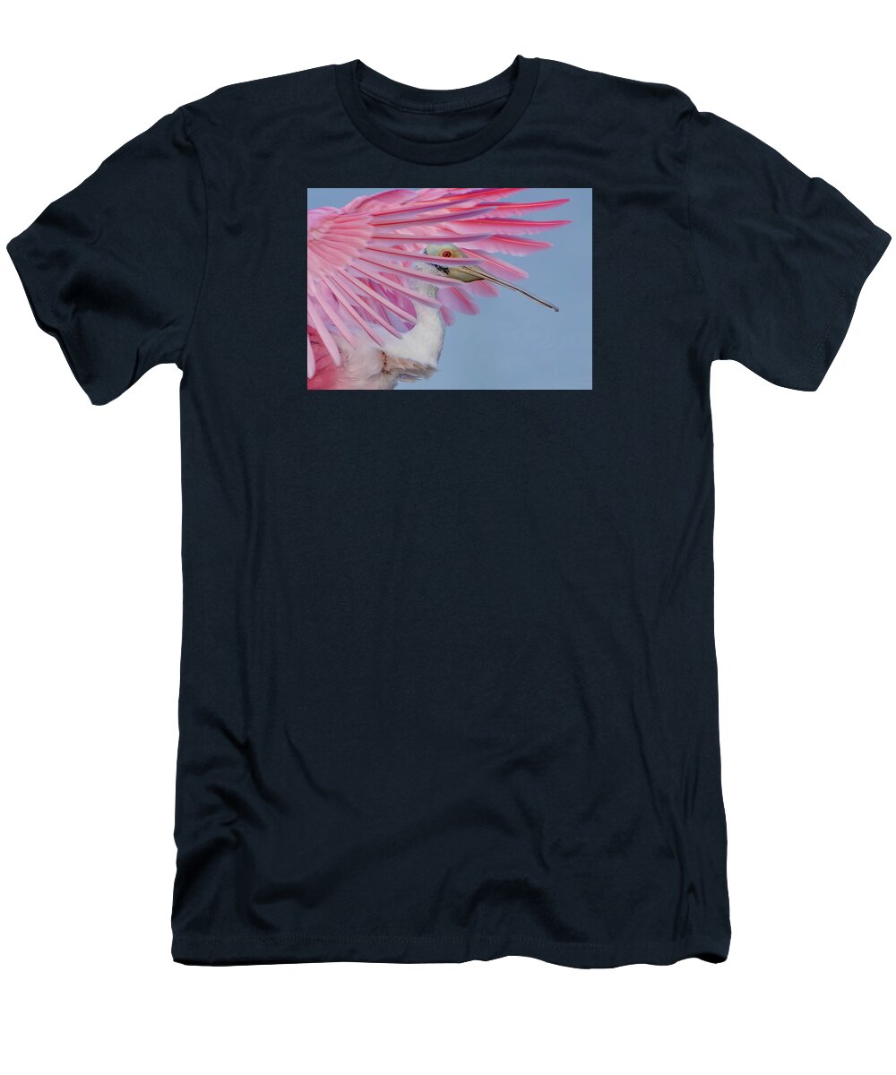 Sanctuary - T-Shirt