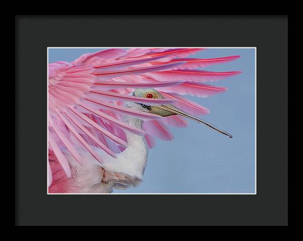 Sanctuary - Framed Print