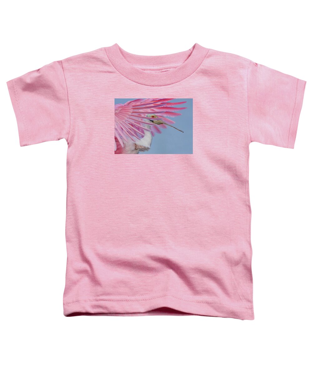 Sanctuary - Toddler T-Shirt