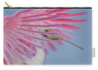 Sanctuary - Zip Pouch