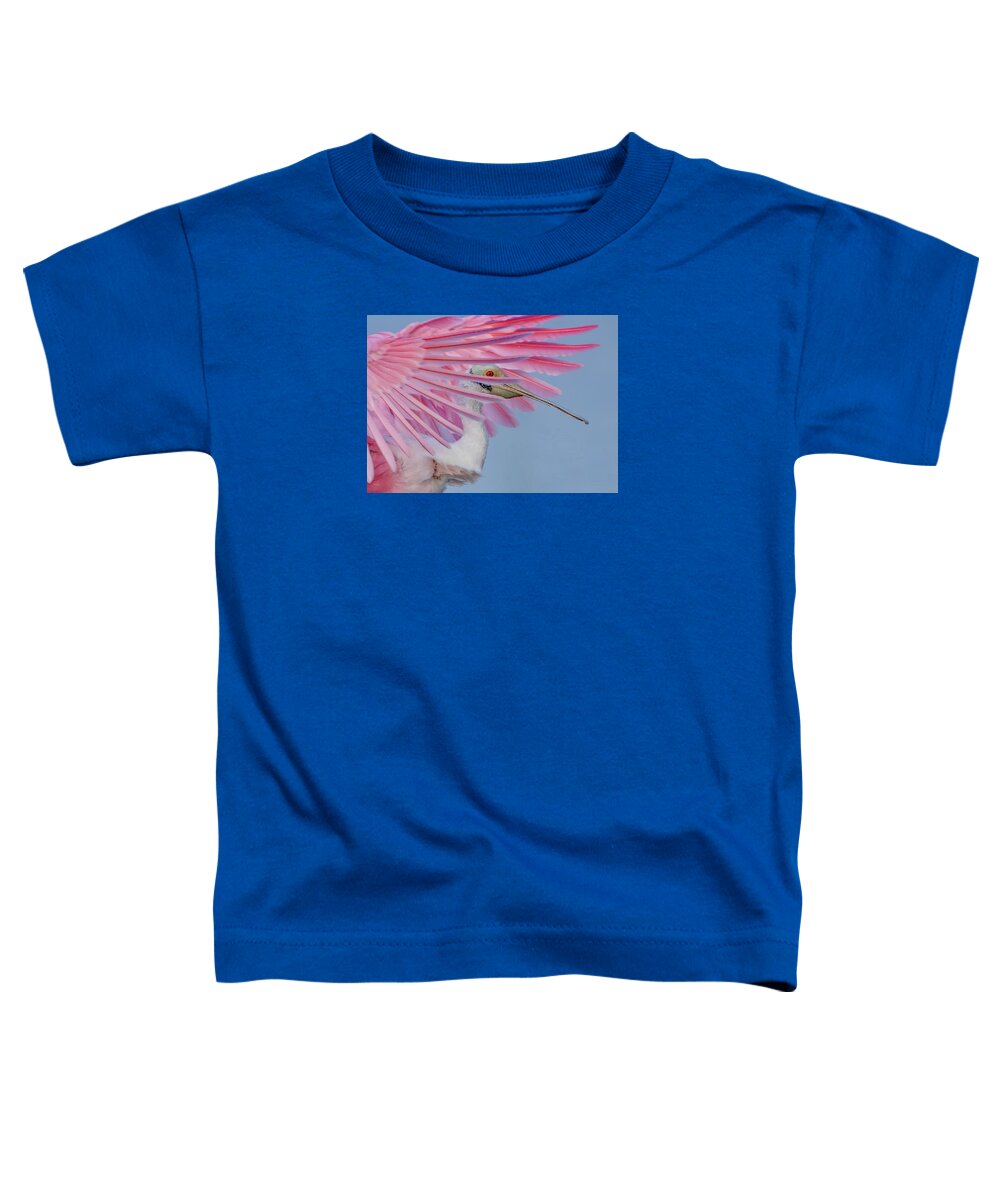 Sanctuary - Toddler T-Shirt