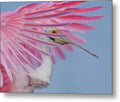 Sanctuary - Metal Print