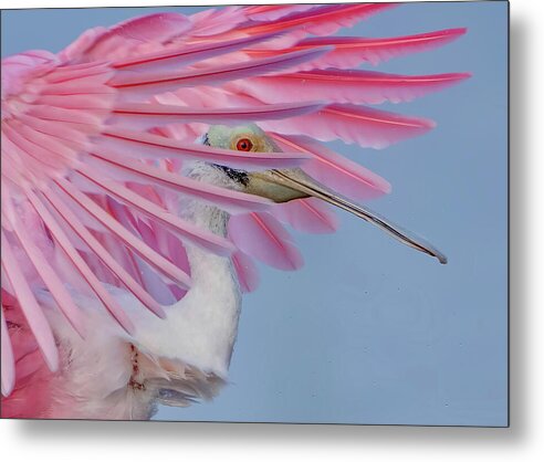 Sanctuary - Metal Print