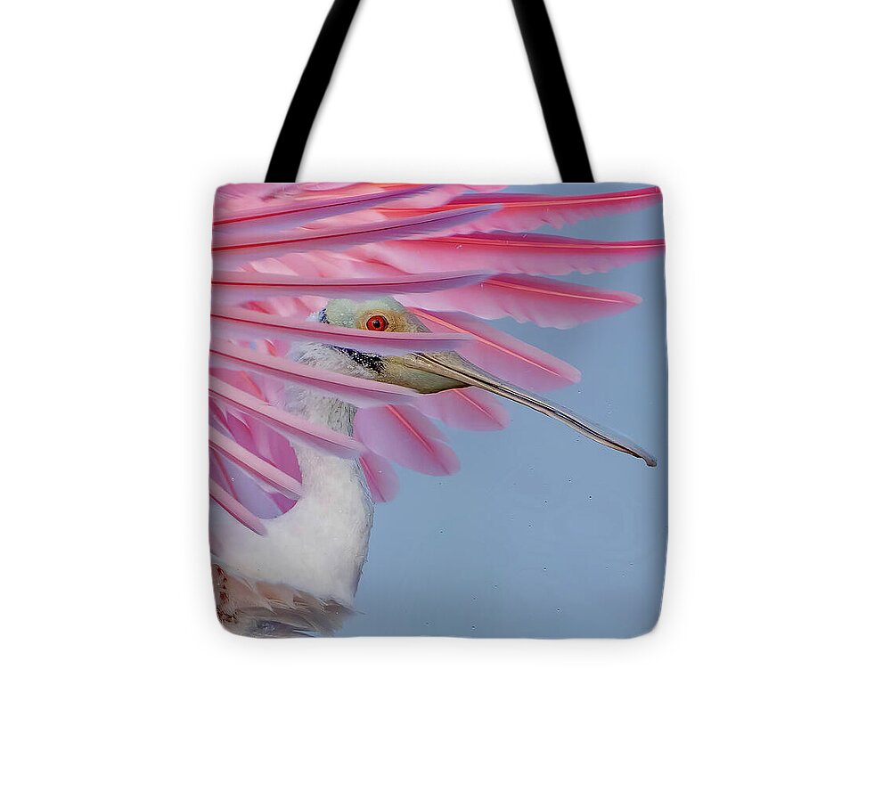 Sanctuary - Tote Bag