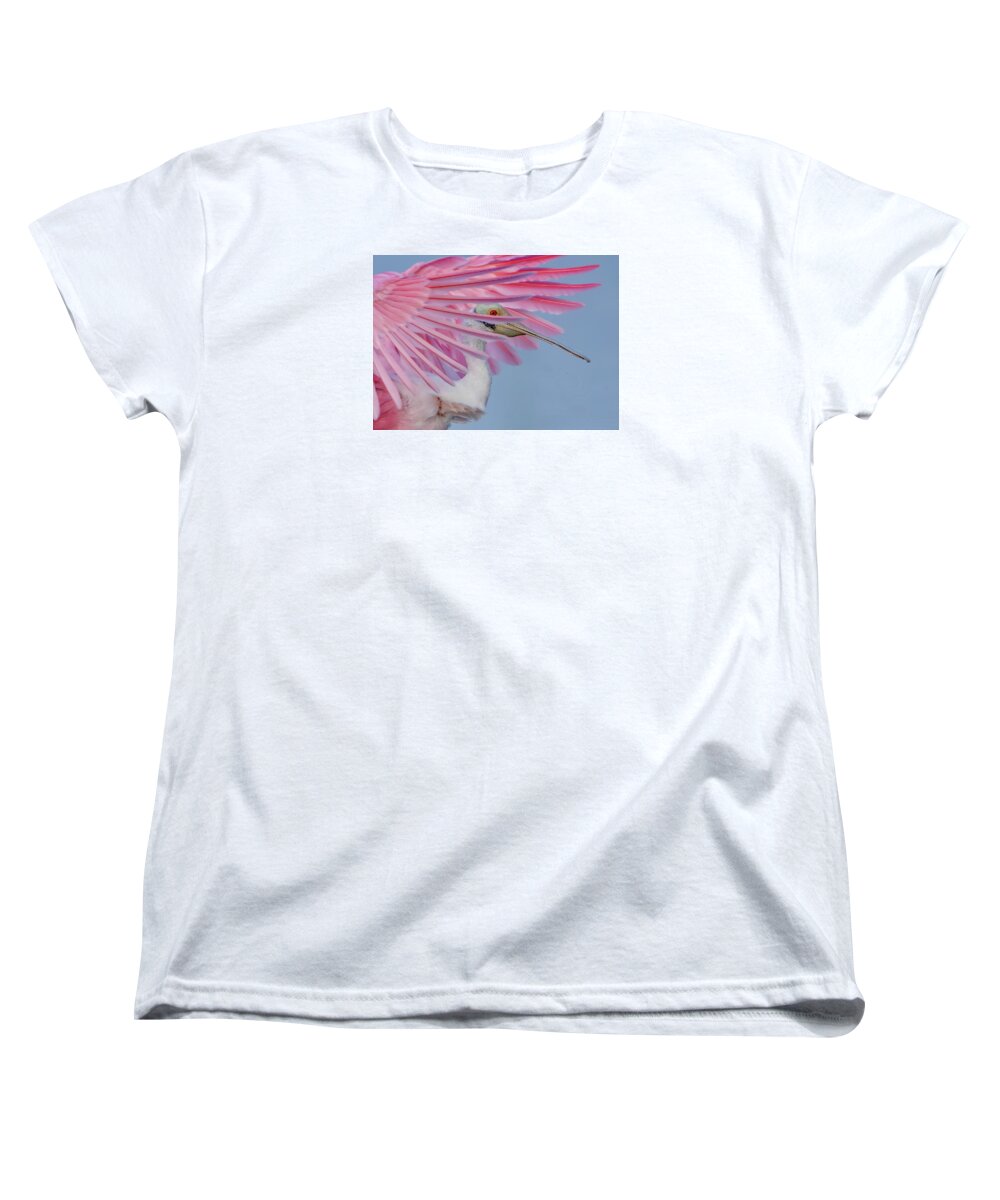 Sanctuary - Women's T-Shirt (Standard Fit)