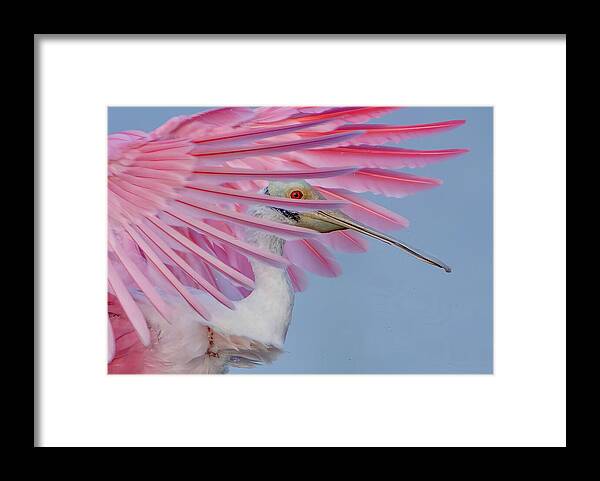Sanctuary - Framed Print