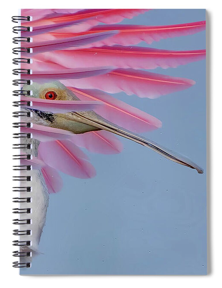 Sanctuary - Spiral Notebook