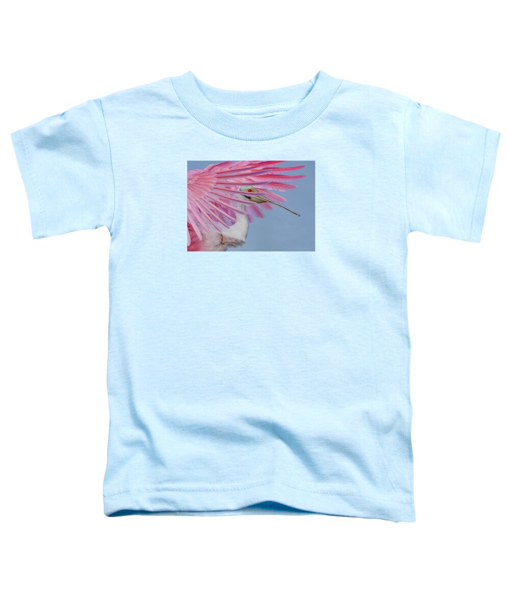 Sanctuary - Toddler T-Shirt
