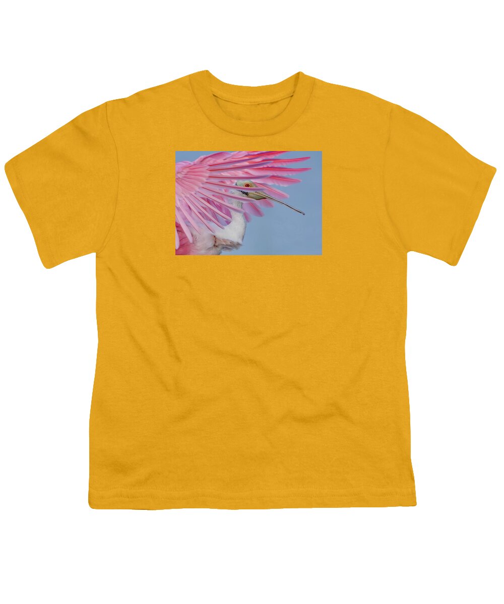 Sanctuary - Youth T-Shirt