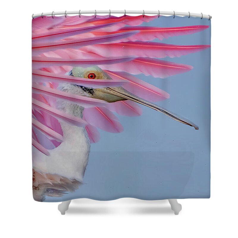 Sanctuary - Shower Curtain