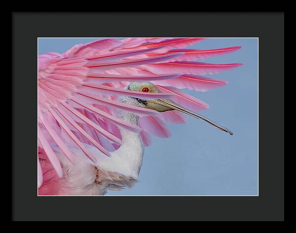 Sanctuary - Framed Print