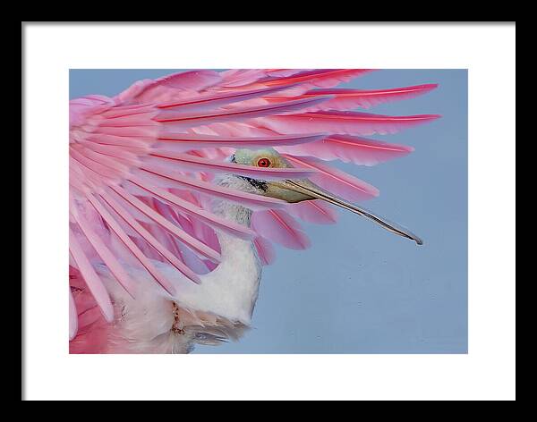 Sanctuary - Framed Print