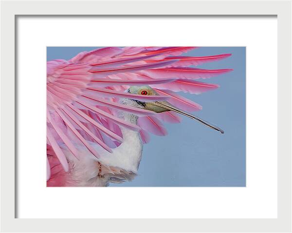 Sanctuary - Framed Print