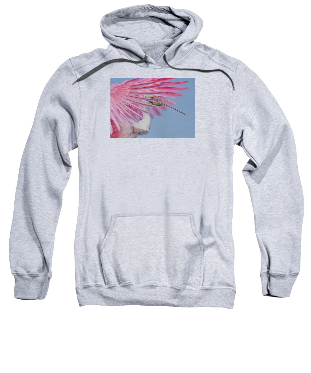 Sanctuary - Sweatshirt