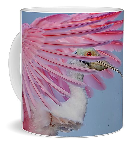 Sanctuary - Mug