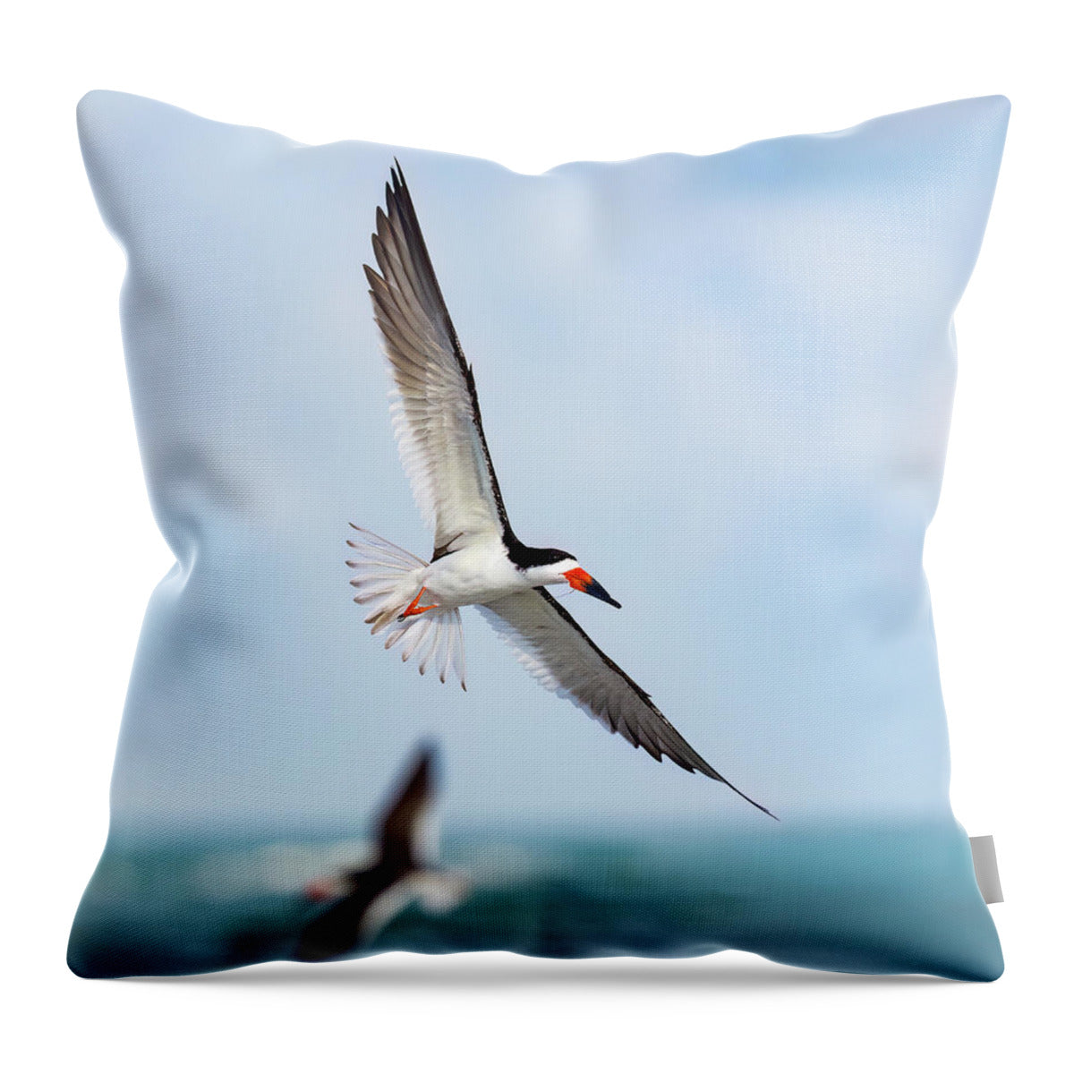 Skimming the light - Throw Pillow