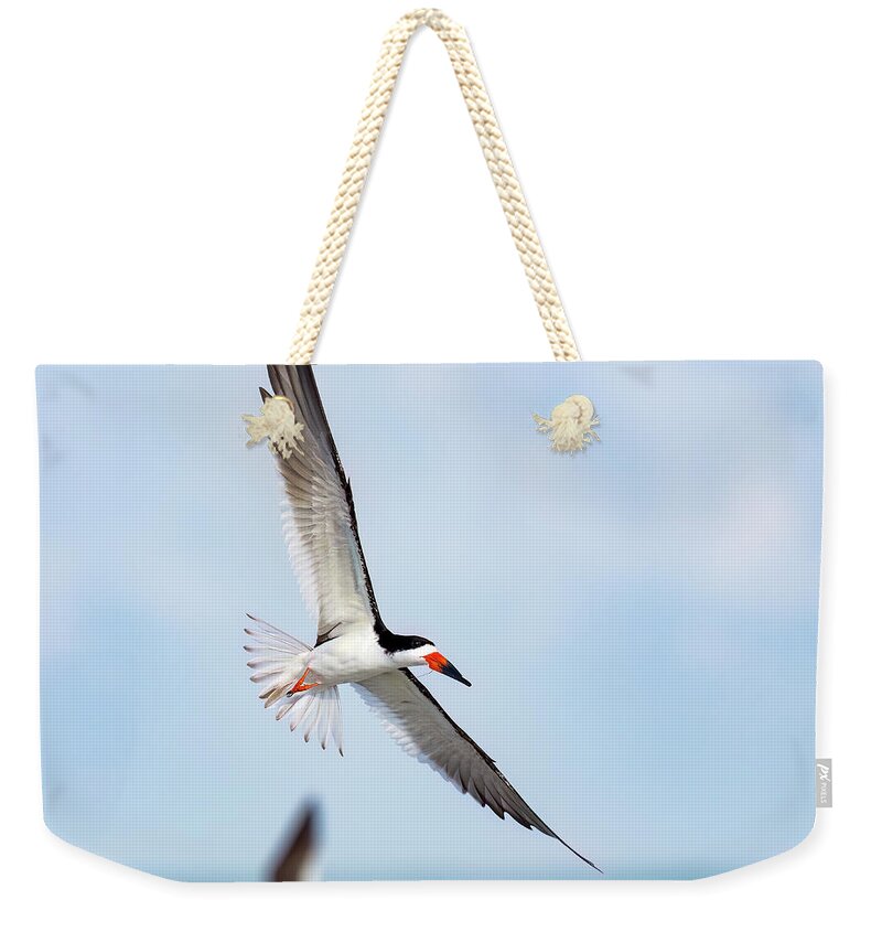 Skimming the light - Weekender Tote Bag