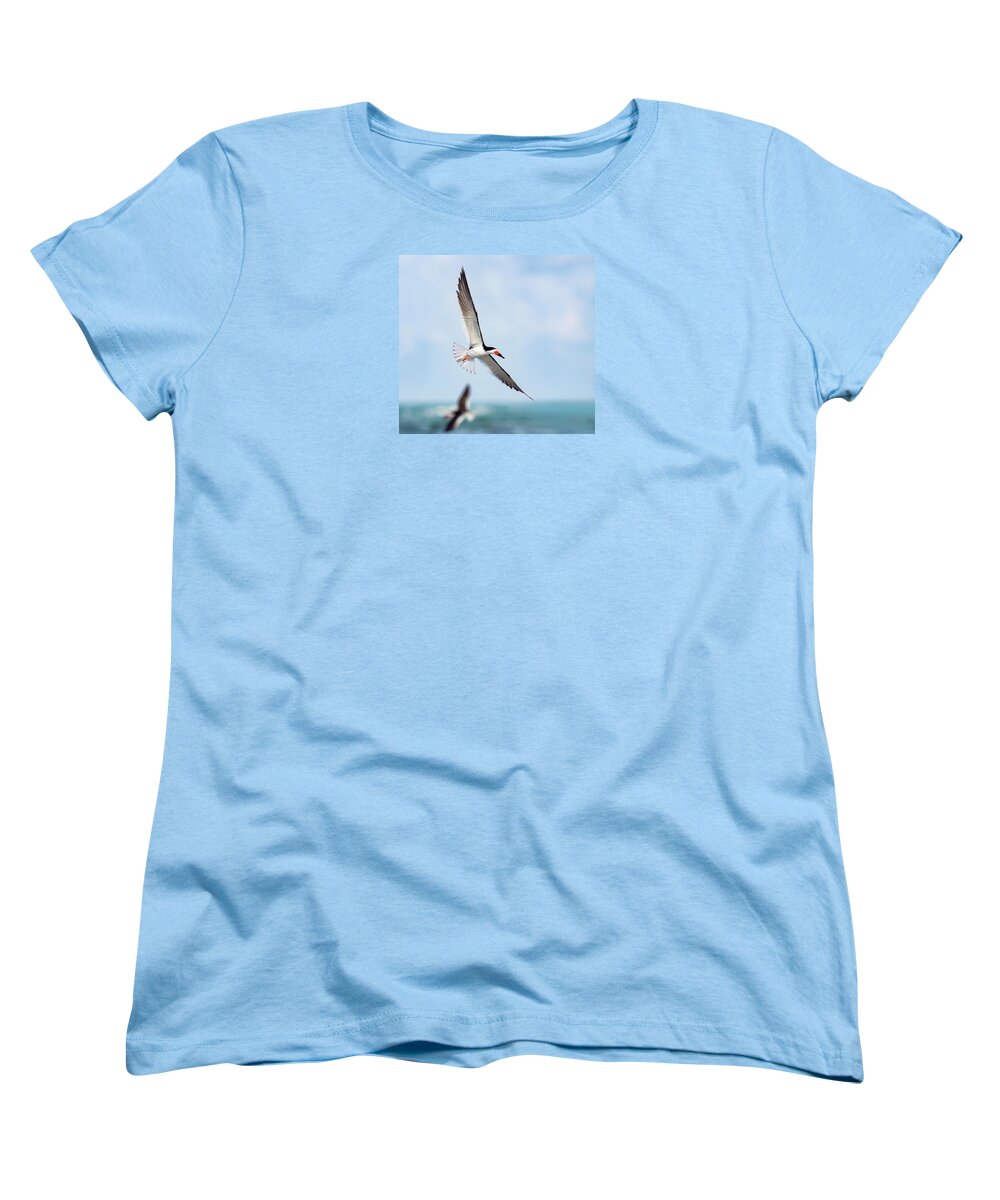 Skimming the light - Women's T-Shirt (Standard Fit)