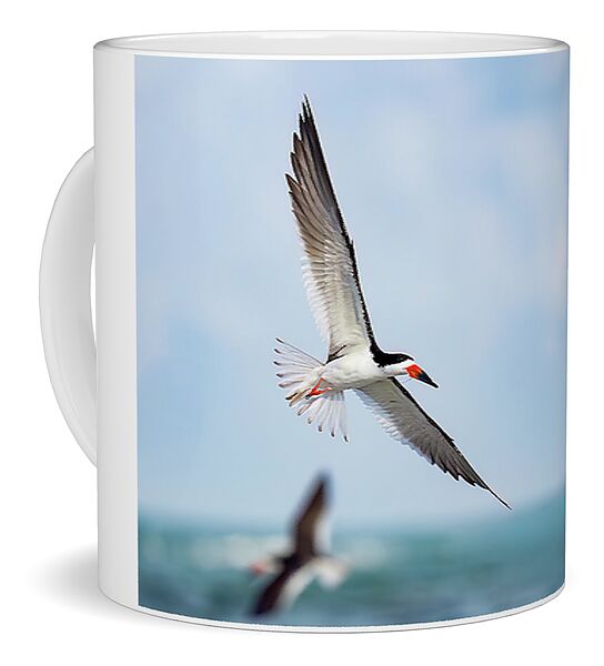 Skimming the light - Mug