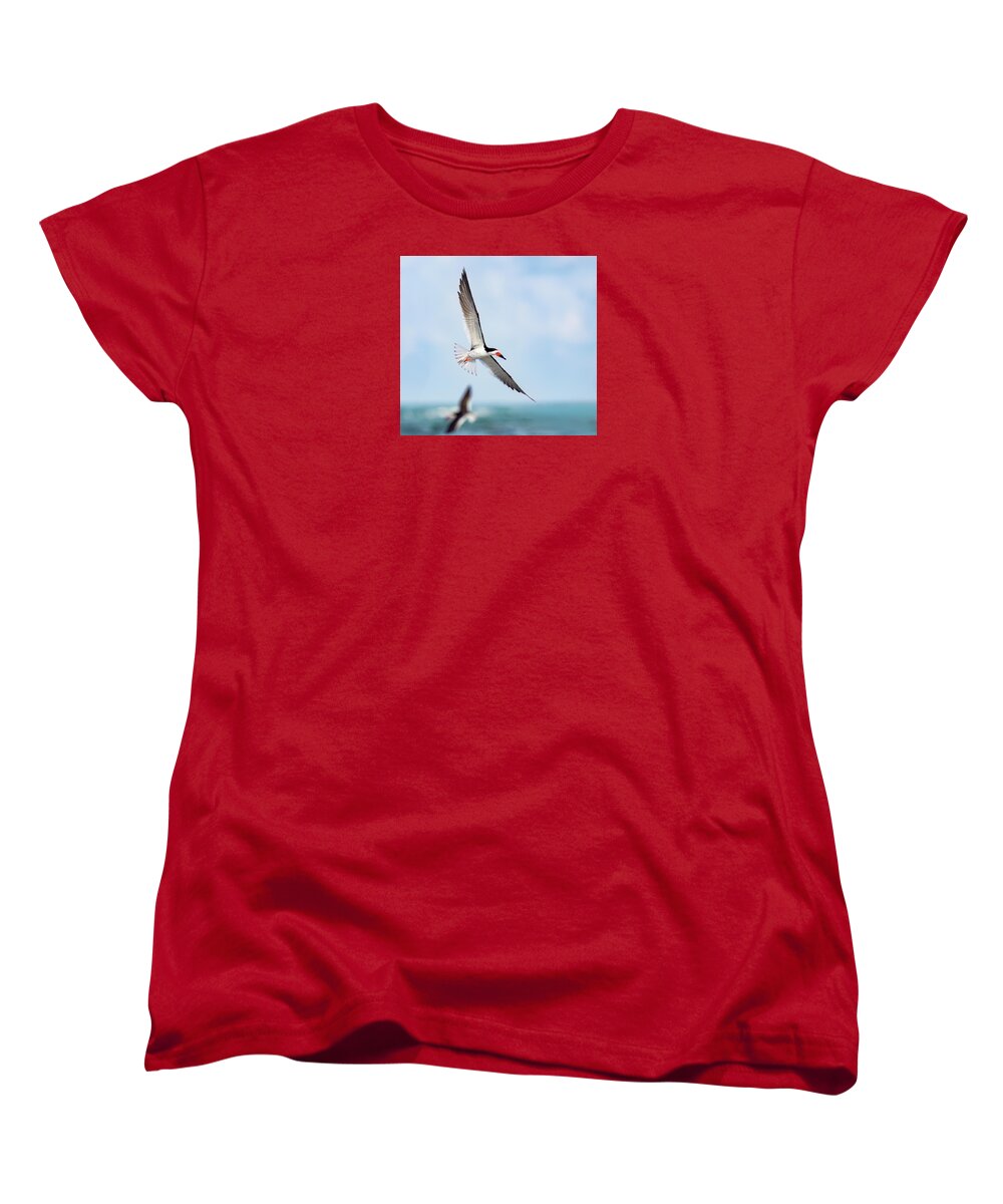 Skimming the light - Women's T-Shirt (Standard Fit)