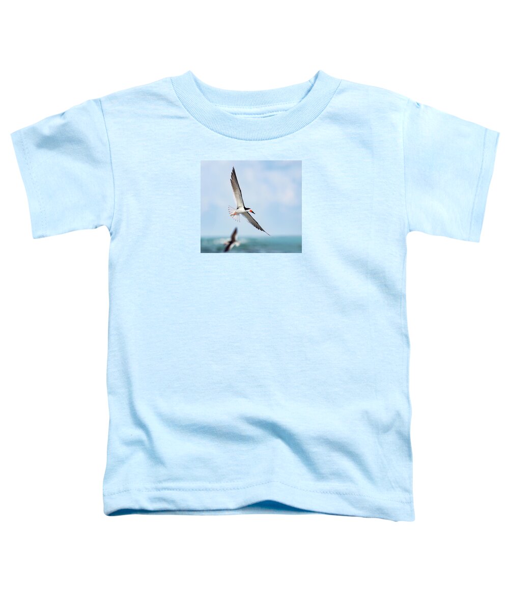 Skimming the light - Toddler T-Shirt