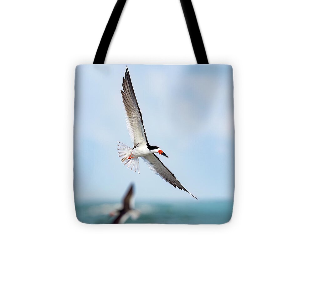 Skimming the light - Tote Bag