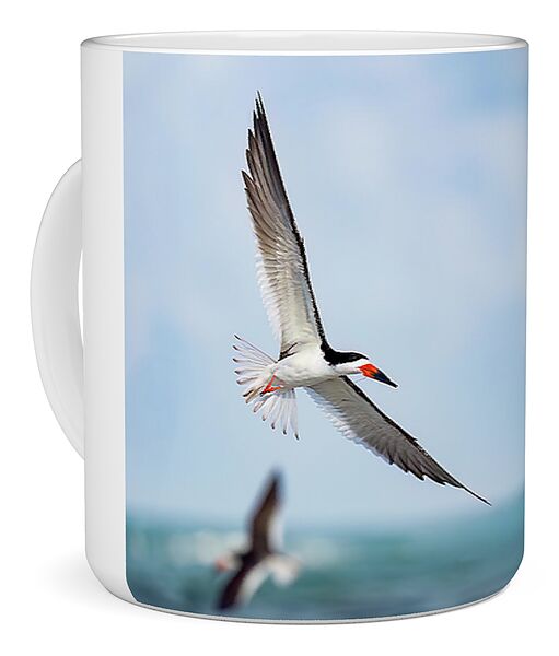 Skimming the light - Mug