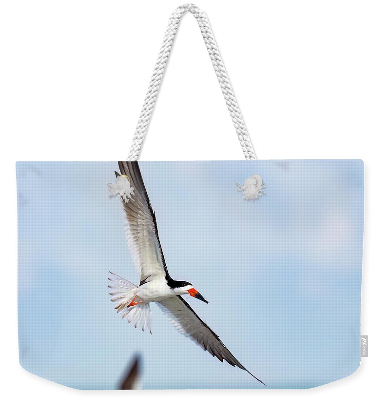 Skimming the light - Weekender Tote Bag