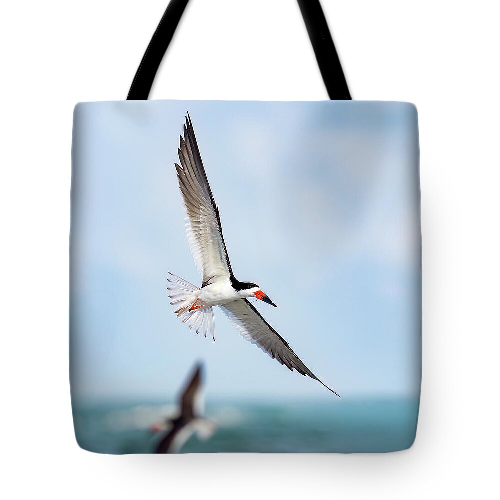 Skimming the light - Tote Bag