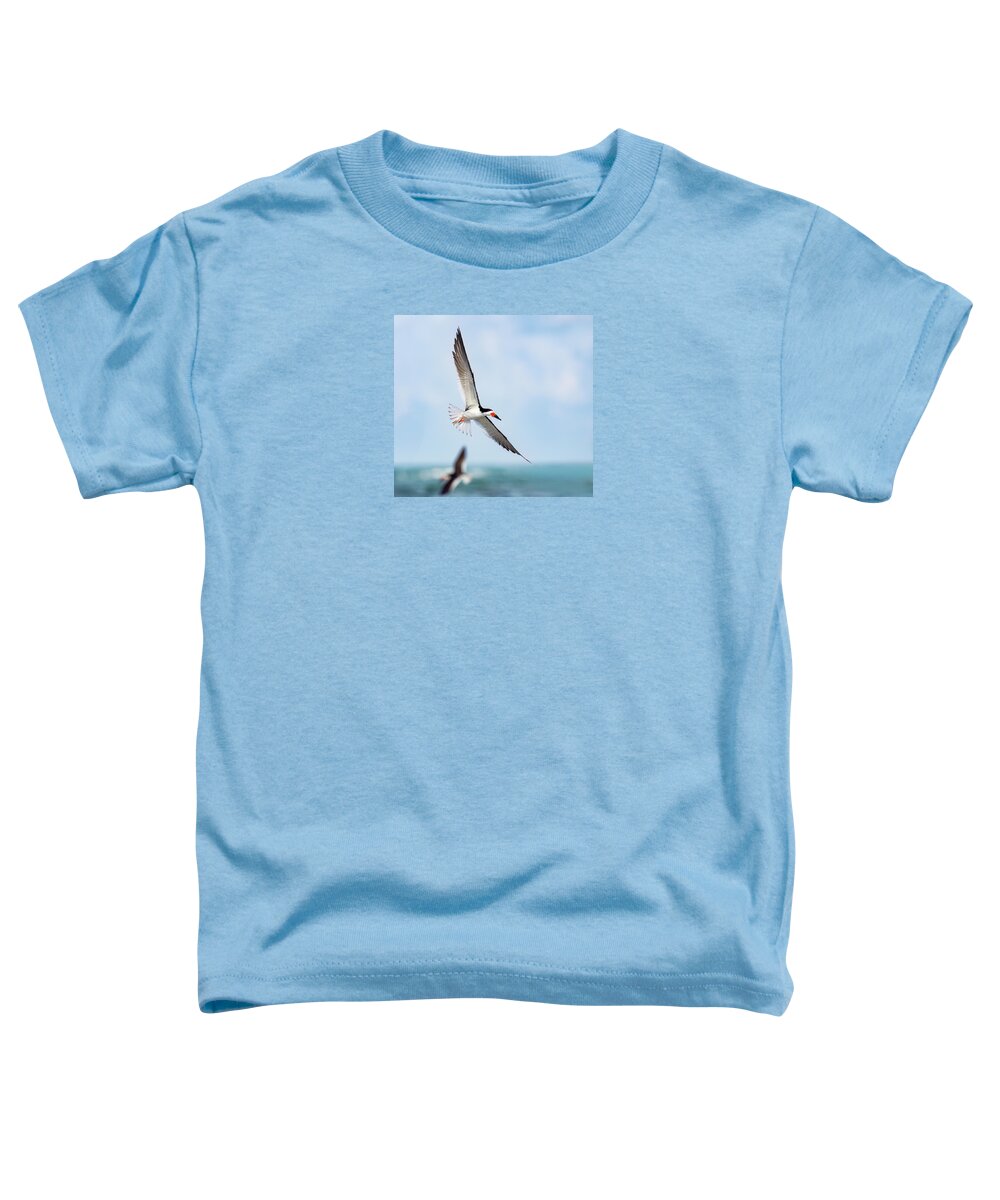 Skimming the light - Toddler T-Shirt