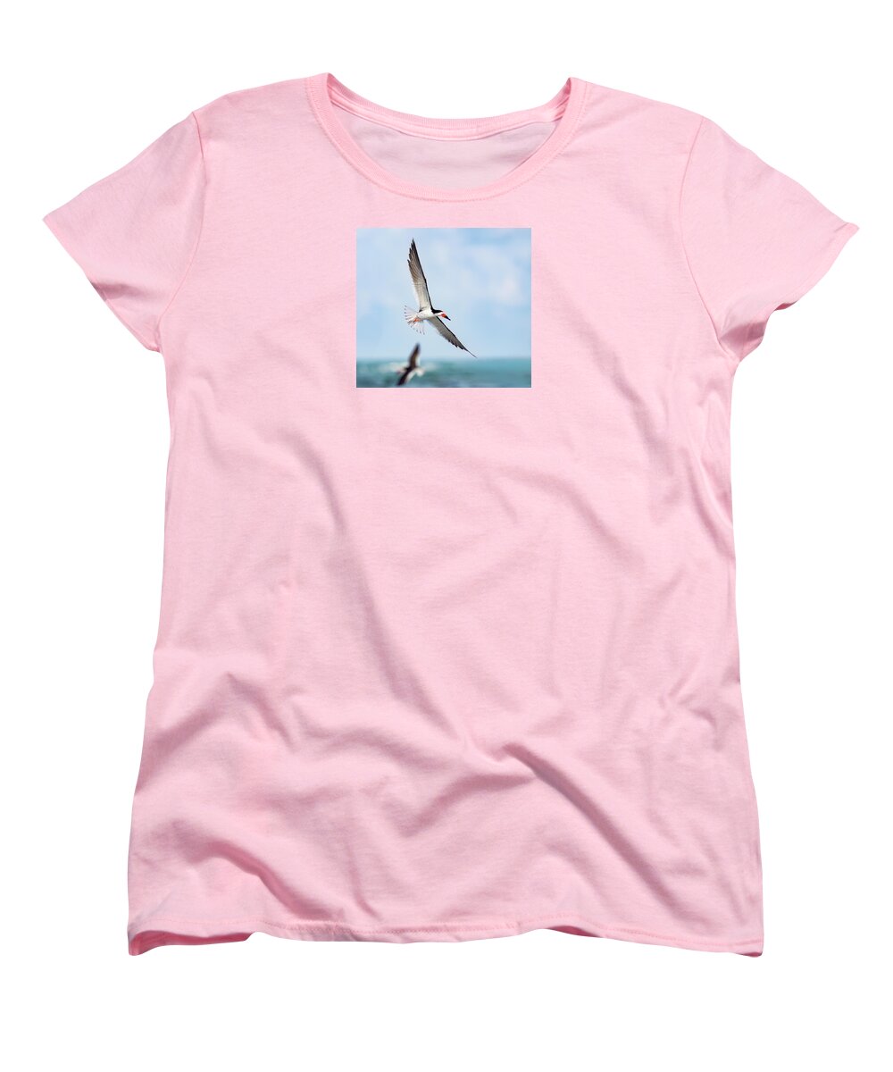 Skimming the light - Women's T-Shirt (Standard Fit)
